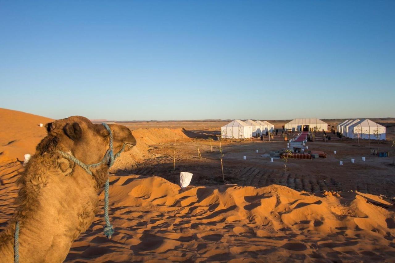 Sahara Majestic Luxury Camp Hotel Merzuga Kültér fotó Sahara Desert